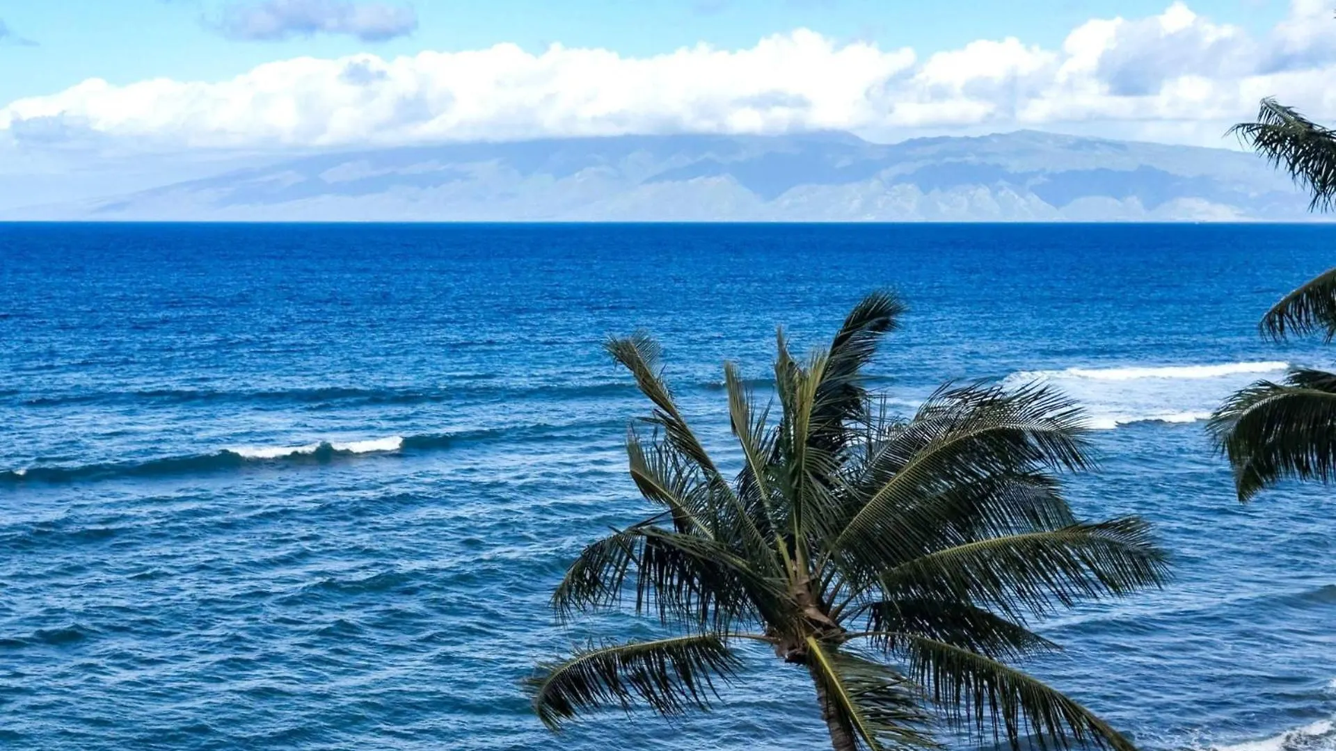 Kbm Resorts Free Car Mahana Mah-719 Stunning Ocean Front Kaanapali Apartment